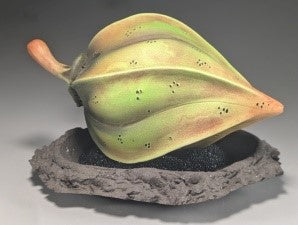Andy Rogers Ceramics - Large Black Seed Planter with Base (AR32) | Perfect for Home Decor, Office Plants & Indoor Gardening
