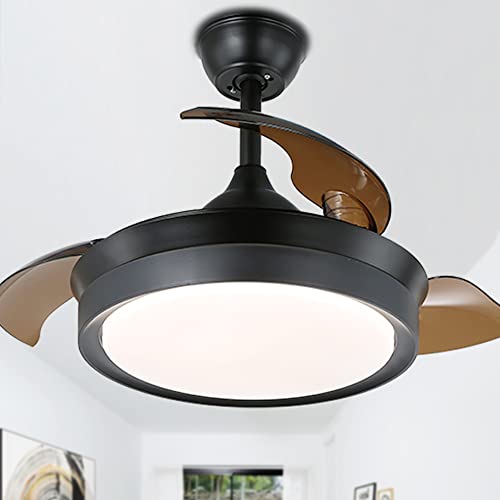 Black-BD4205-B