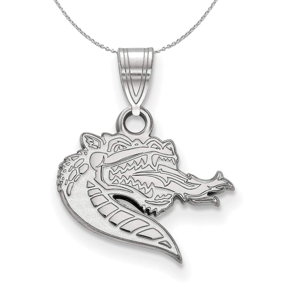 The Black Bow Solid Sterling Silver Chain for UAB Small Pendant – Perfect for Gifts, Everyday Wear, and University Pride