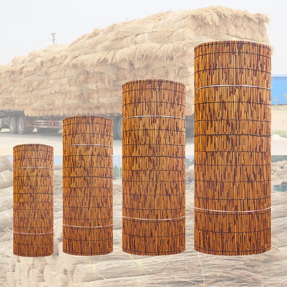 Aeeau 6ft x 33ft Natural Bamboo Privacy Screen - Outdoor Garden Fence Panels, Balcony Cover, Patio Divider for Backyard, Poolside & Deck Decoration (180x1000cm) | Weather-Resistant Reed Fencing for Shade & Wind Protection