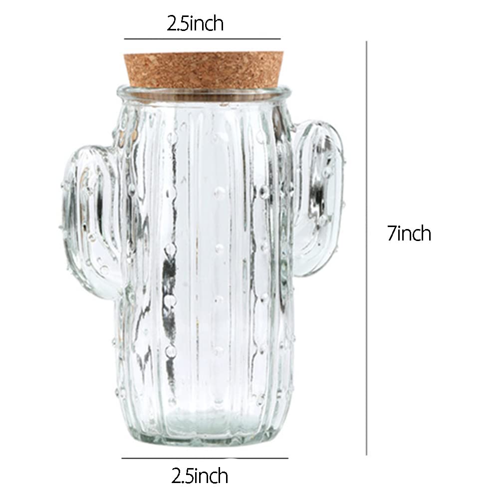 123Arts Glass Relief Cactus Candy Jar - Airtight Snack Storage Container with Seal Lid for Kitchen, Party & Home Decor | Candy Dish, Food Jar, Treat Holder for Desserts, Nuts, Cookies