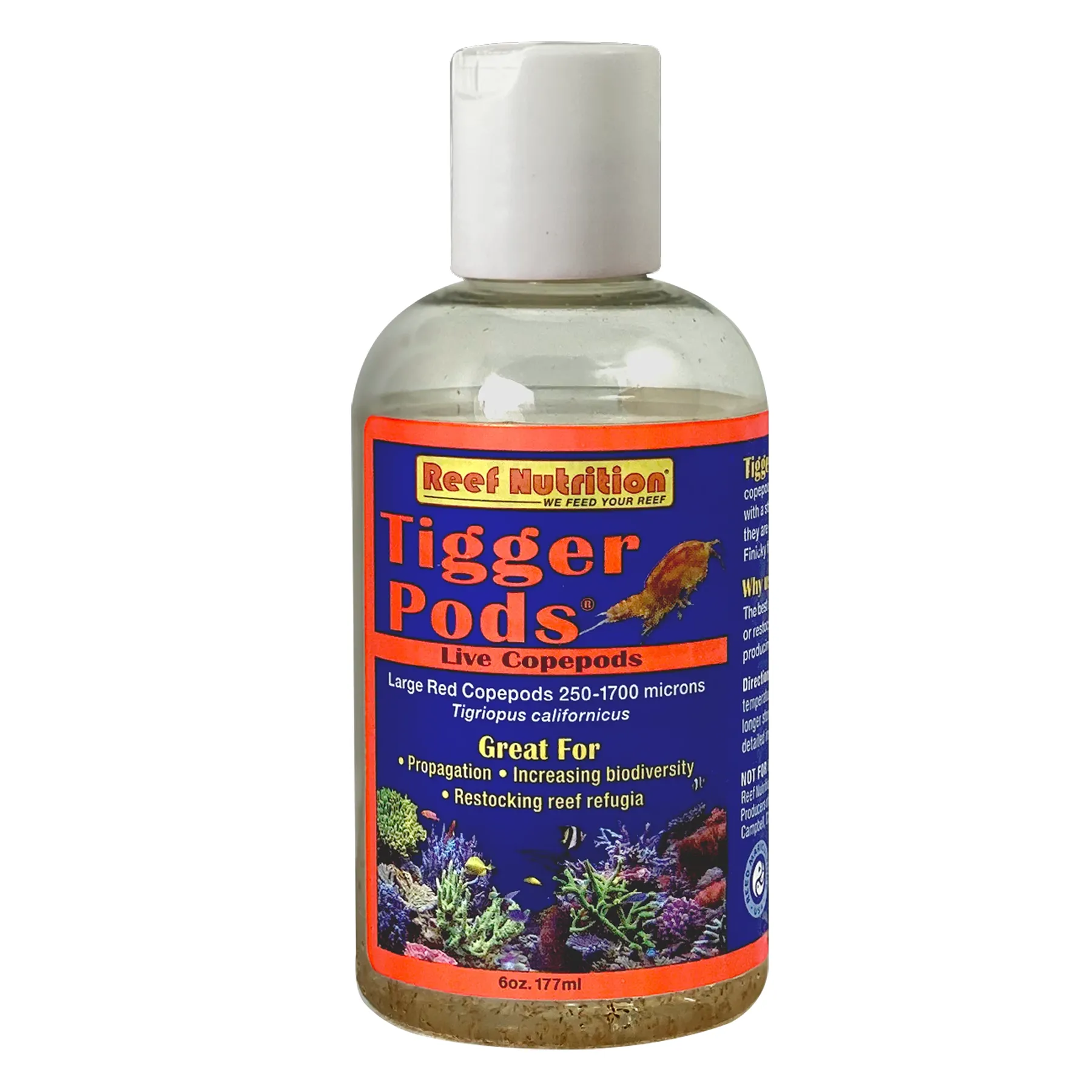 Reef Nutrition Tigger Pods 6oz - Live Copepods for Saltwater Aquariums | Perfect for Feeding Marine Fish & Coral Reef Tanks