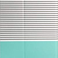 02 Stripe