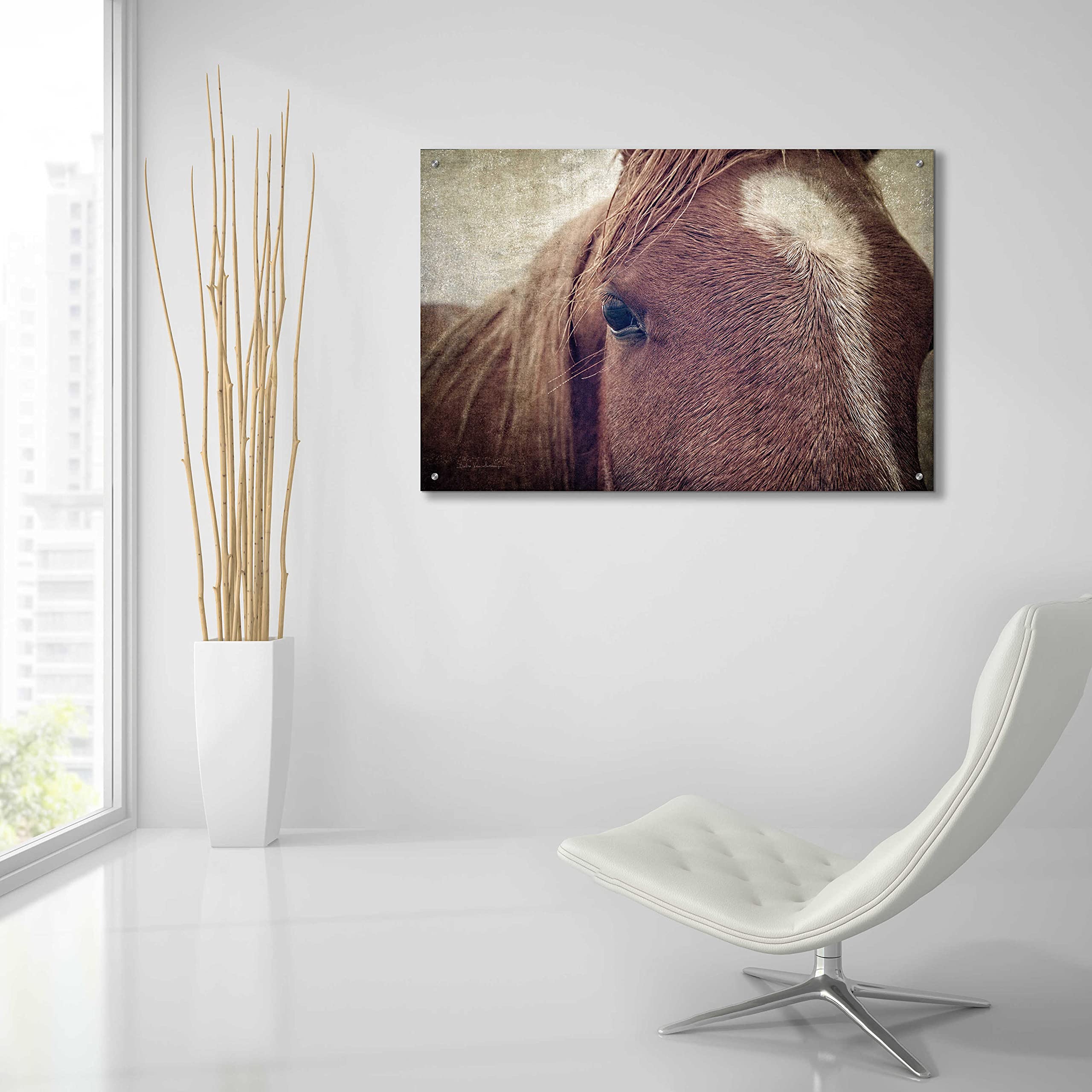 Epic Art 'Dew Lashes' by Debra Van Swearingen - 36x24 Inch Acrylic Glass Wall Art Painting, Modern Home Decor for Living Room, Bedroom & Office