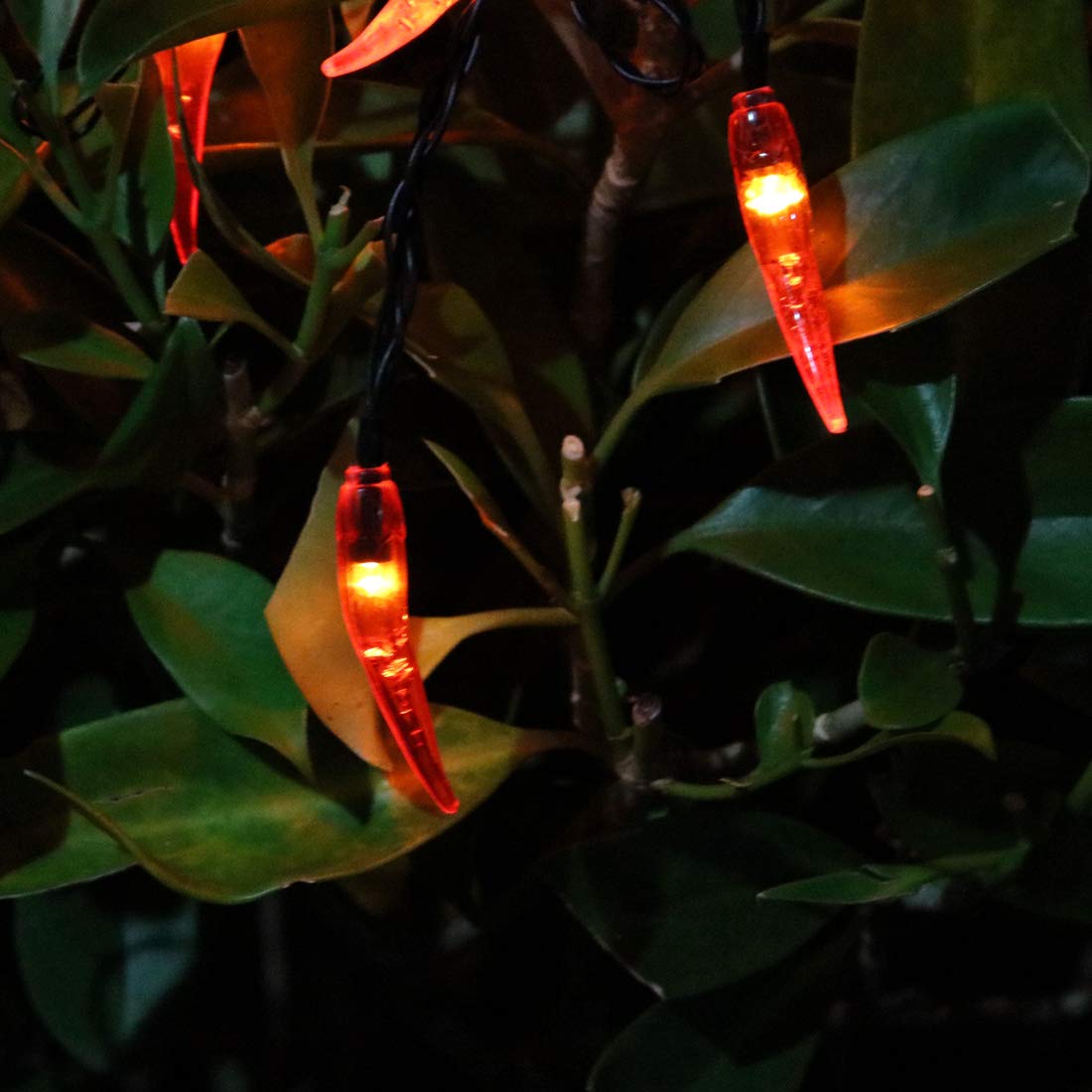 Solar Chili String Lights - 50 LED Red Chili Pepper Lights for Outdoor & Indoor Decor - Perfect for Garden, Patio, Party, Wedding, Christmas & Chinese New Year Decorations - Weatherproof Solar-Powered String Lights