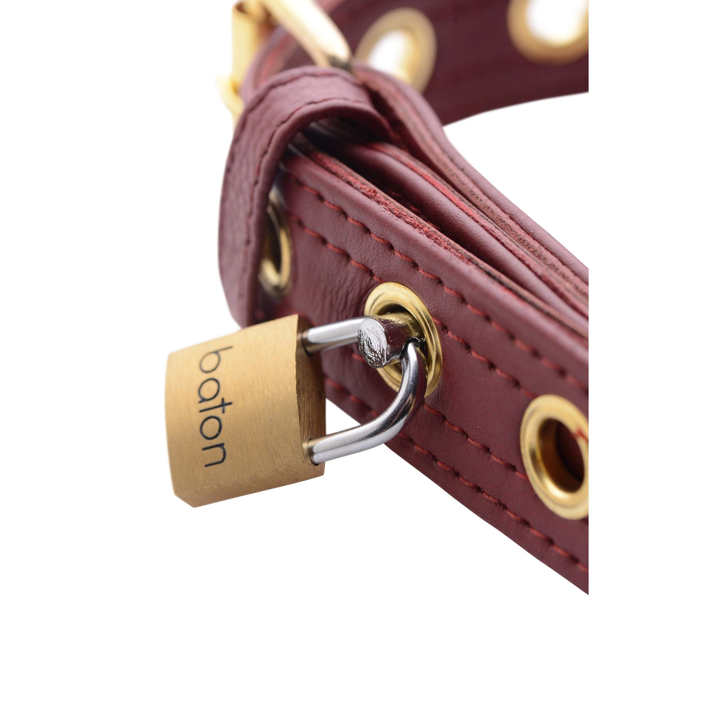 Premium Unisex Locking Collar - Adjustable Secure Necklace for Men & Women - Perfect for BDSM, Fashion Accessories, and Pet Play Scenes