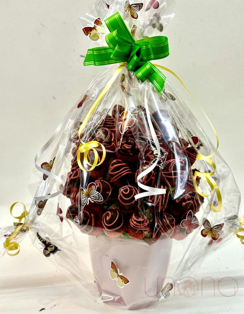 Premium Chocolate Covered Fruit Bouquet - Delicious Gourmet Gift for Birthdays, Anniversaries & Special Occasions | Perfect for Valentine's Day, Mother's Day & Corporate Events
