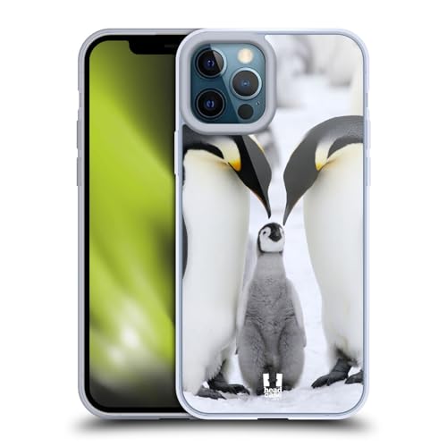 Penguin Family On Ice