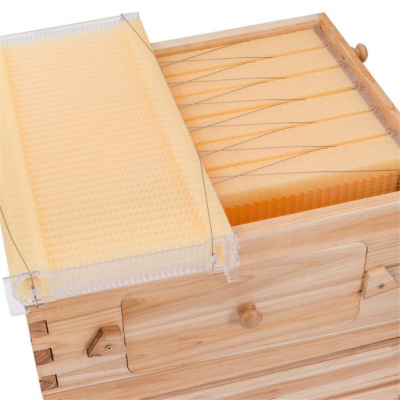 Automatic Wooden Beehive Starter Kit - 7pcs with Auto Honey Frames for Beekeeping | Perfect for Beginners & Backyard Hive Setup | Durable & Easy-to-Use Bee House for Honey Production