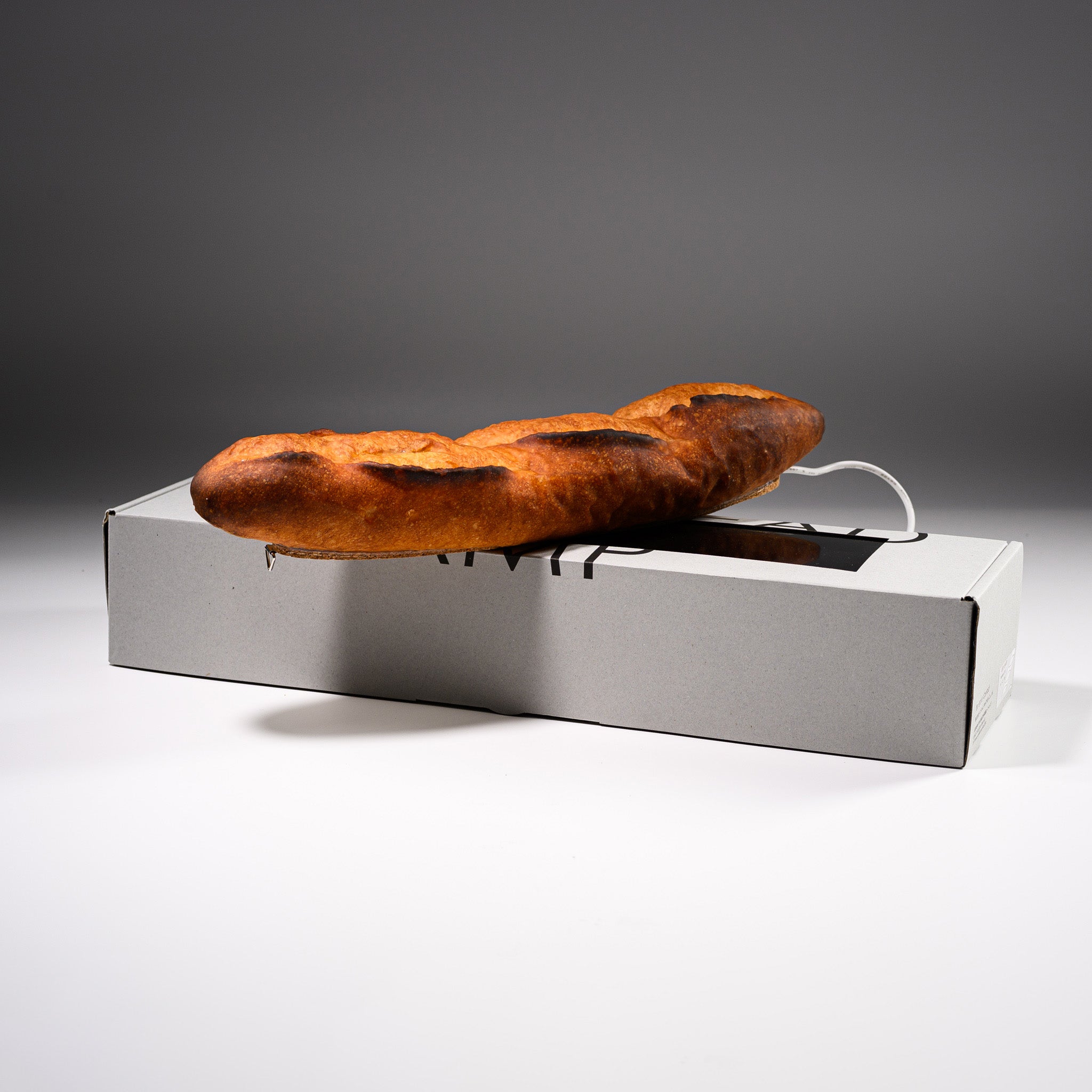 PAMPSHADE Real Bread Lamp - Batard Art Light by Yukiko Morita | Unique Home Decor for Living Room, Bedroom & Cafe Aesthetic