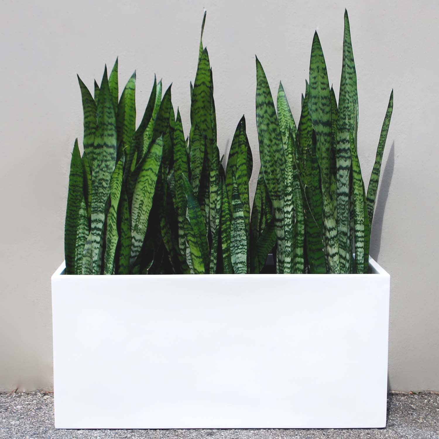 Premium Rectangle Fiberglass Planter Box 48
