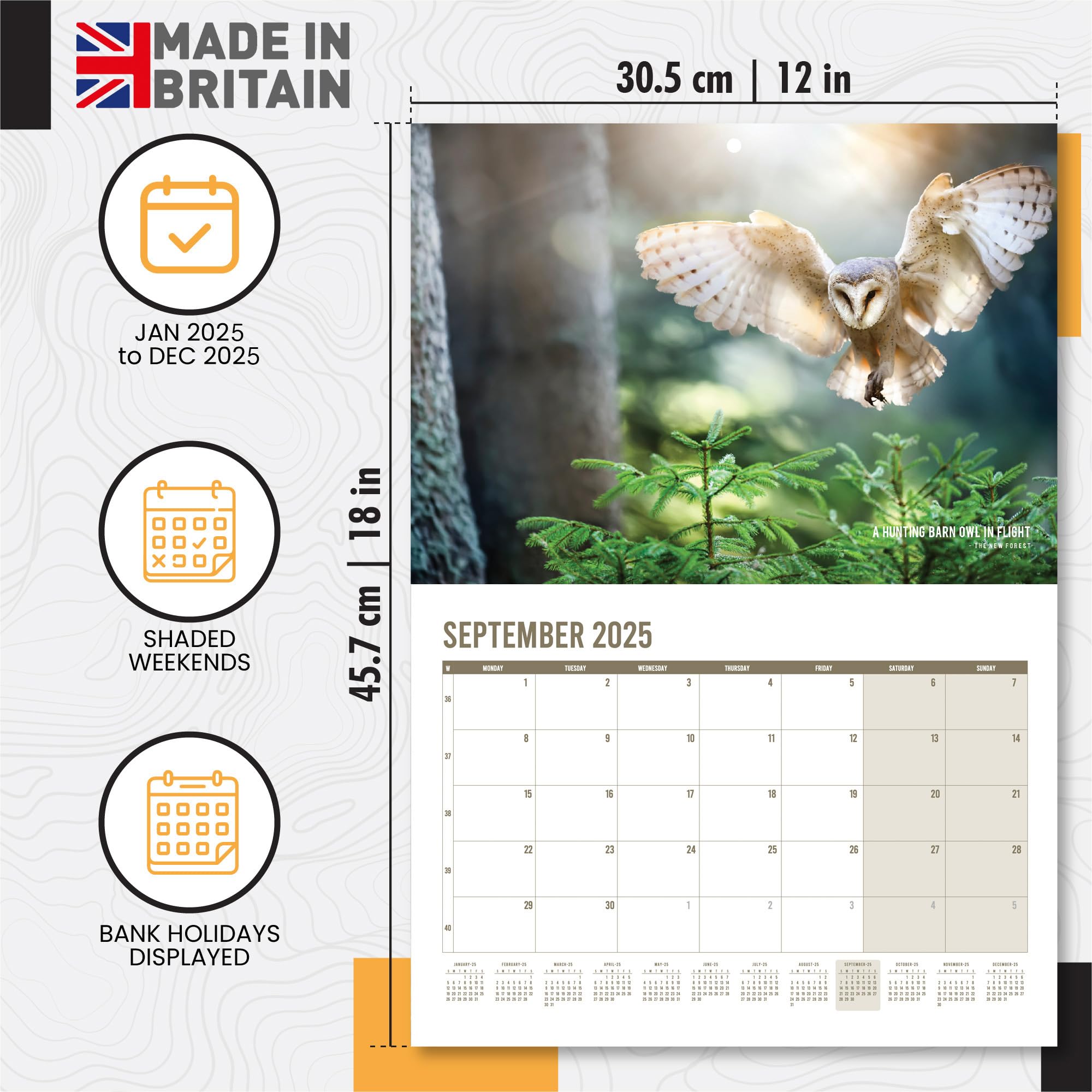**2025 British Wildlife Calendar - A3 Month-to-View with 12 High-Resolution Nature Photos | Perfect Gift for Nature Lovers, Birthday & Holiday Presents | Ideal for Home, Office & Classroom Decor**