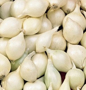 10 Sweet Texas White Onion Bulbs for Planting - Grow Fresh, Delicious Onions at Home | Perfect for Home Gardens, Cooking & Healthy Eating