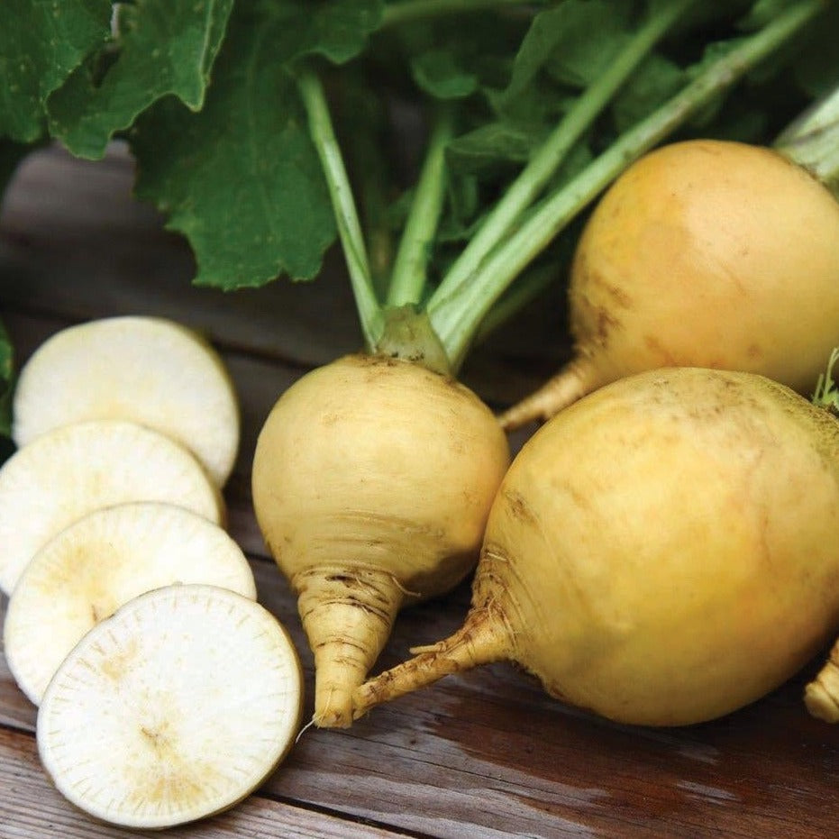 Golden Ball Turnip Seeds - Organic, Non-GMO Heirloom Vegetable Seeds for Home Gardening - Perfect for Salads, Soups, and Pickling