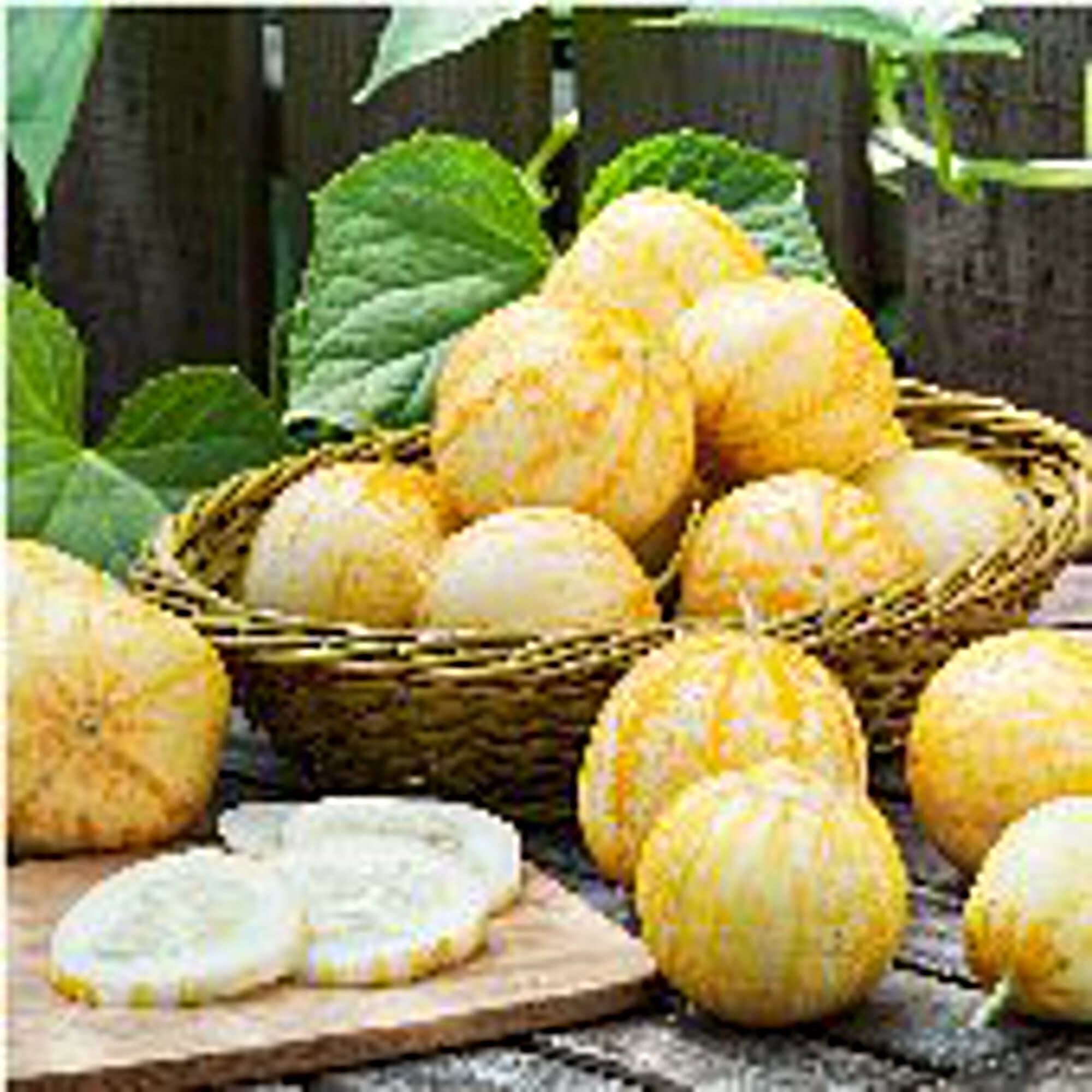 Organic Lemon Cucumber Seeds (20+ Seeds) - Non-GMO Heirloom Vegetable Seeds for Planting | Home Garden, Greenhouse & Container Gardening | Fresh Salad & Pickling Cucumbers