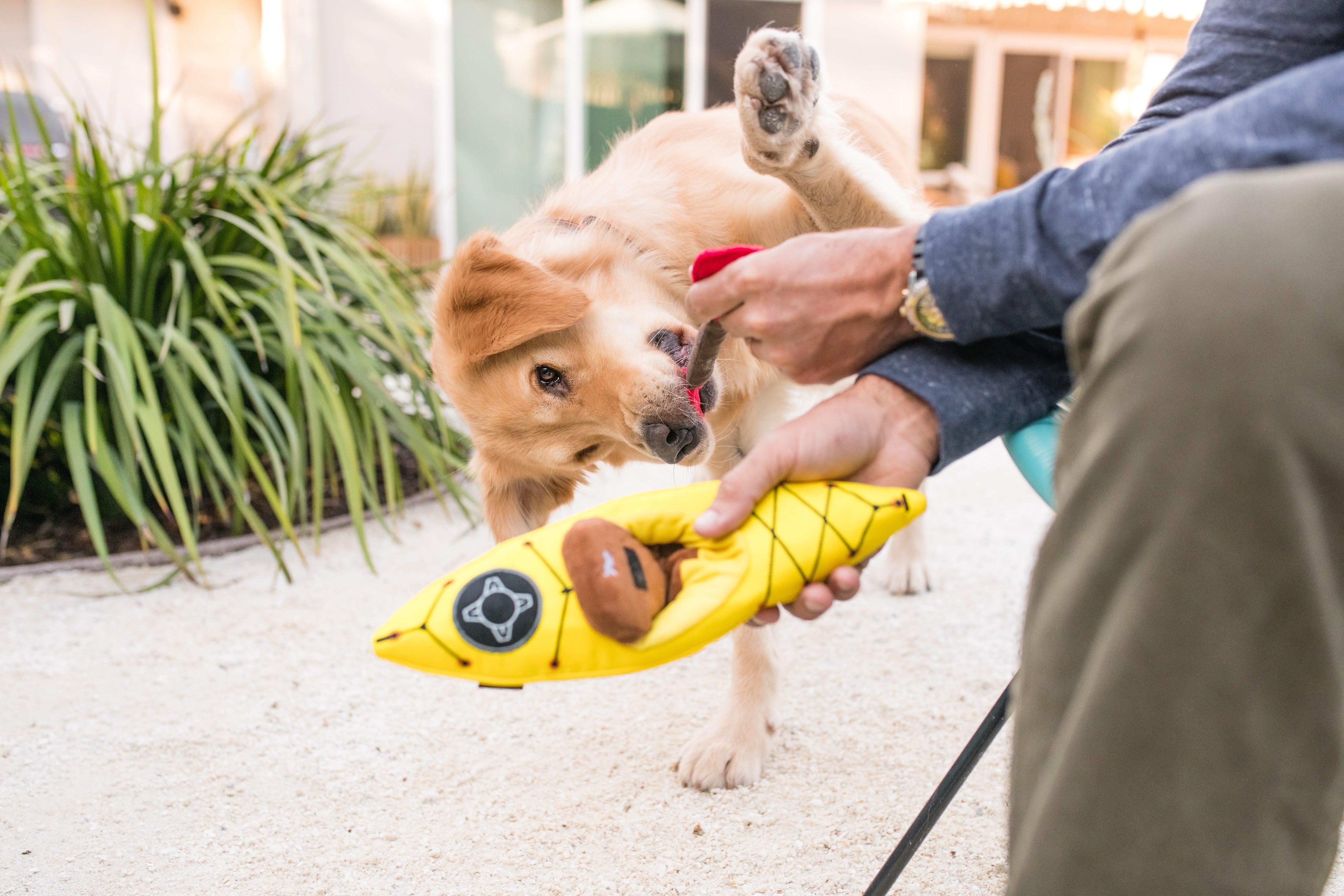 El Kayak Dog Toy - Camp Corbin™ Plush Chew Toy for Dogs | Durable & Soft Pet P.L.A.Y. Dog Chew Toy for Indoor & Outdoor Play, Fetch, and Cuddling