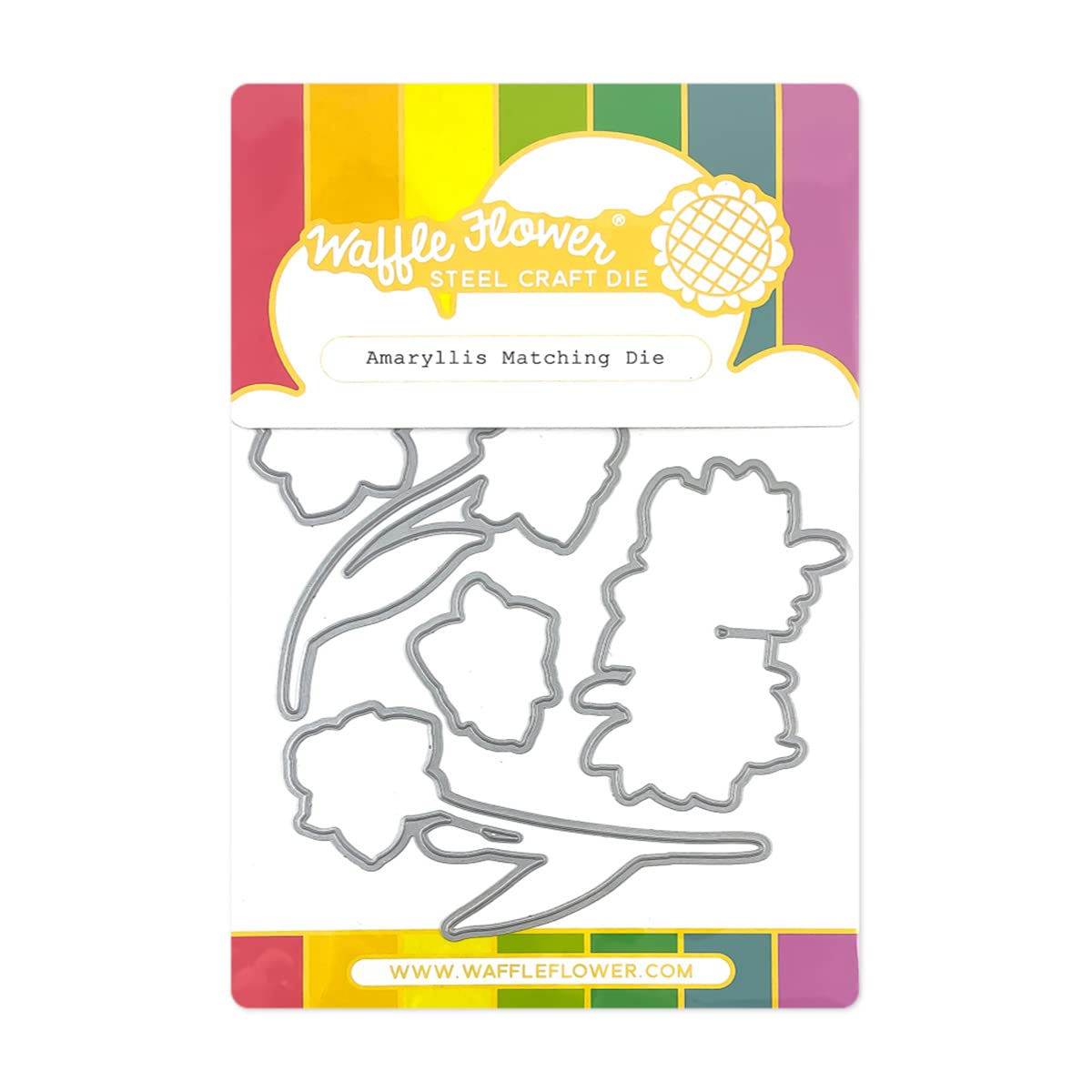 Waffle Flower Amaryllis Matching Die Set for Stamping - Compatible with Amaryllis Stamp Set by Karla Jodoin | Perfect for Card Making, Scrapbooking & DIY Paper Crafts