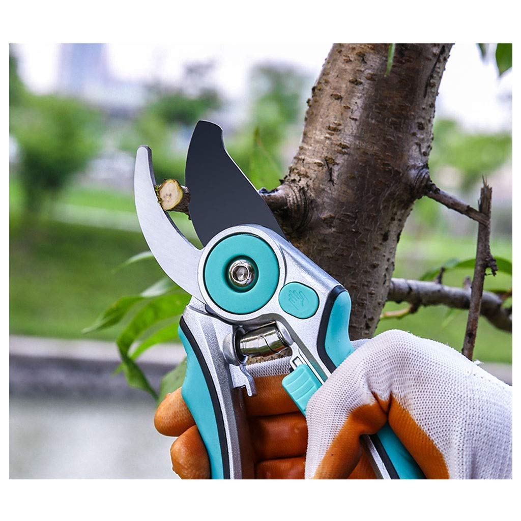 Premium Stainless Steel Garden Pruning Shears - Sharp Bypass Pruner for Trimming Branches, Stems & Plants | Ergonomic Gardening Scissors with Non-Slip Handles (Blue) | Ideal for Home Gardeners, Landscaping & Outdoor Plant Care