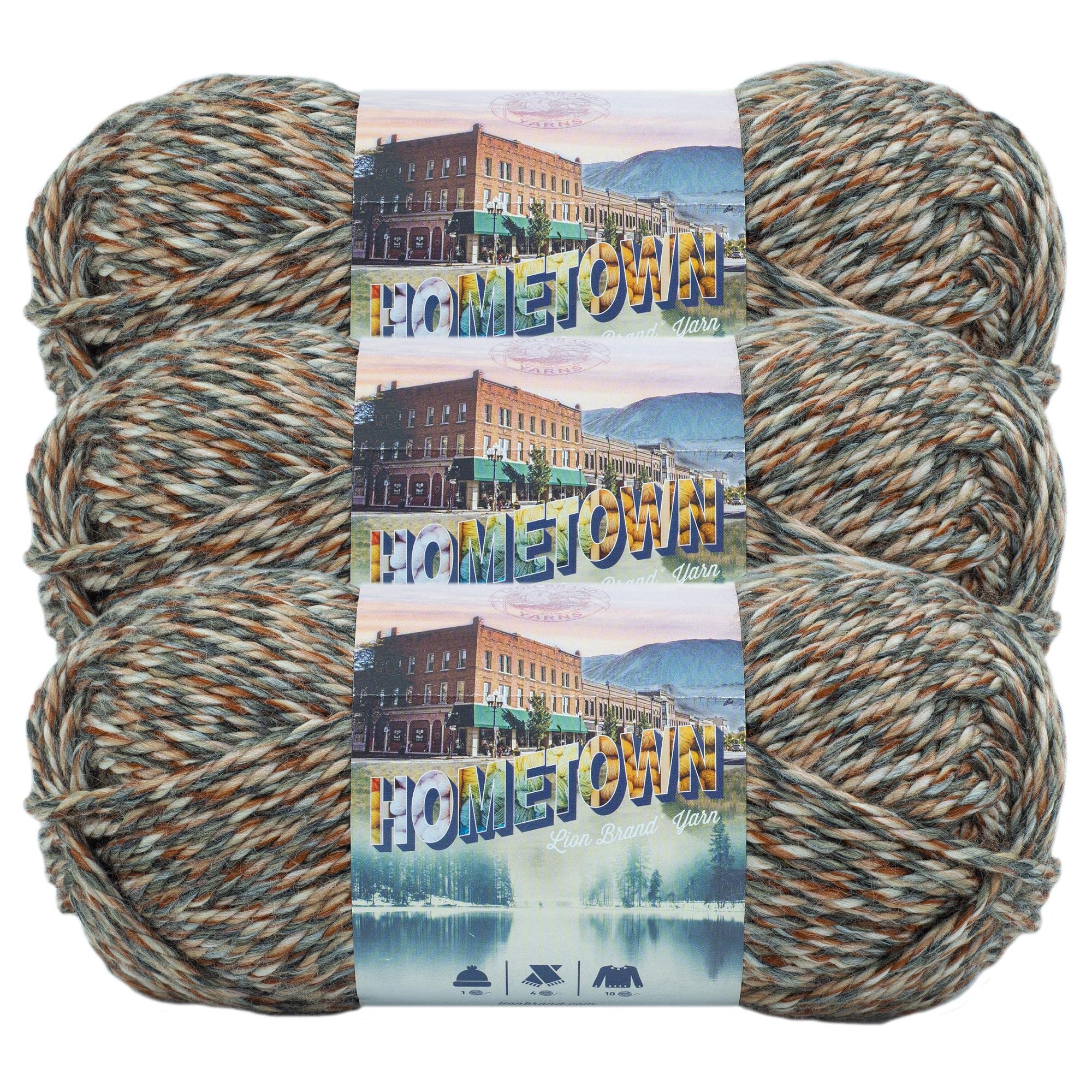 Lion Brand Yarn Hometown Super Bulky Yarn - 3 Pack (Huntington Foliage) for Knitting, Crocheting, and Crafting | Perfect for Blankets, Scarves, and Winter Accessories