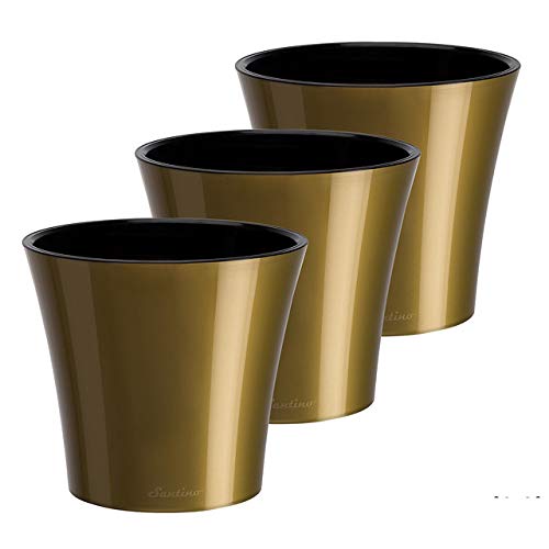 Gold/Black - Set of 3