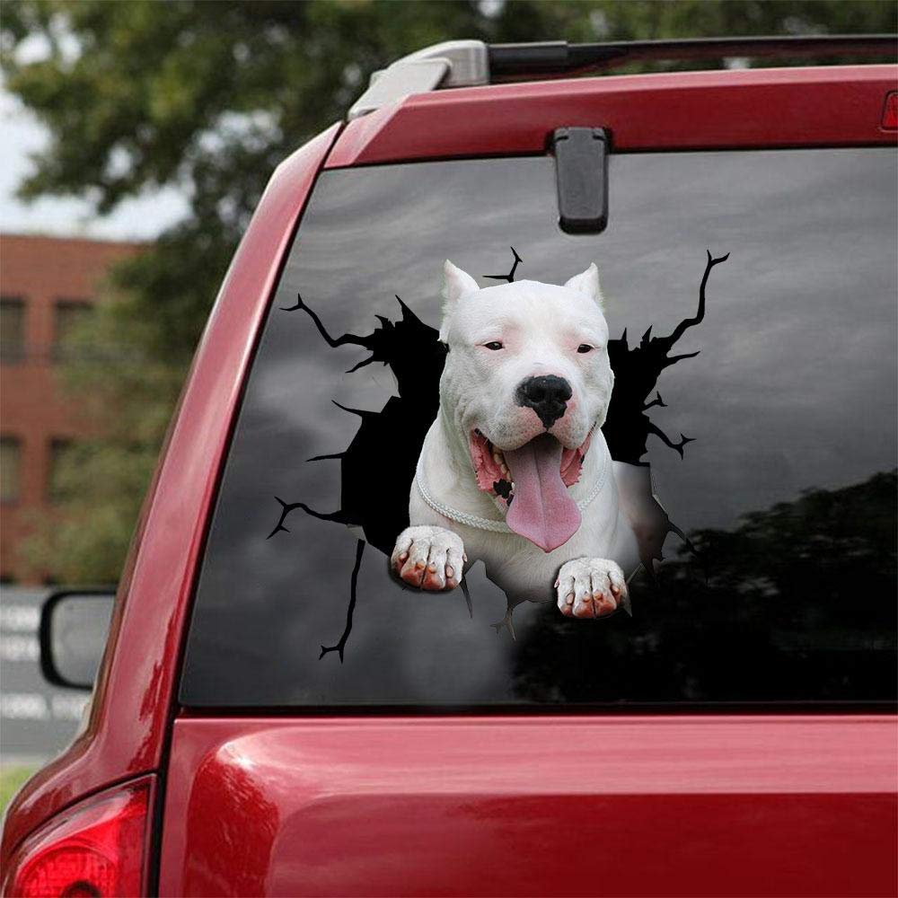 Dogo Argentino Car & Wall Decals Stickers - 2 Pack Realistic Dog Stickers (10x10 Inch) - Perfect for Car Windows, Laptops, and Home Decor