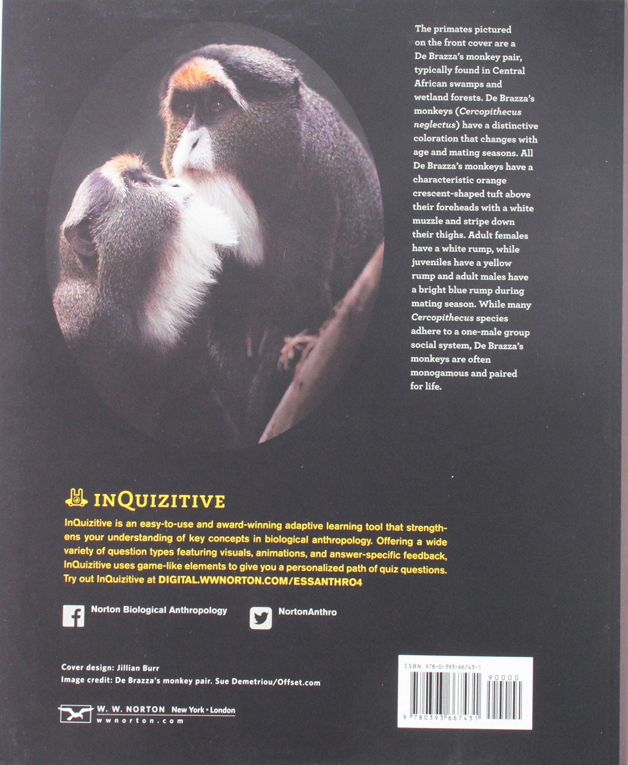 Essentials of Biological Anthropology Textbook - Human Evolution, Genetics & Primatology Study Guide | Perfect for College Students, Anthropology Courses & Science Enthusiasts