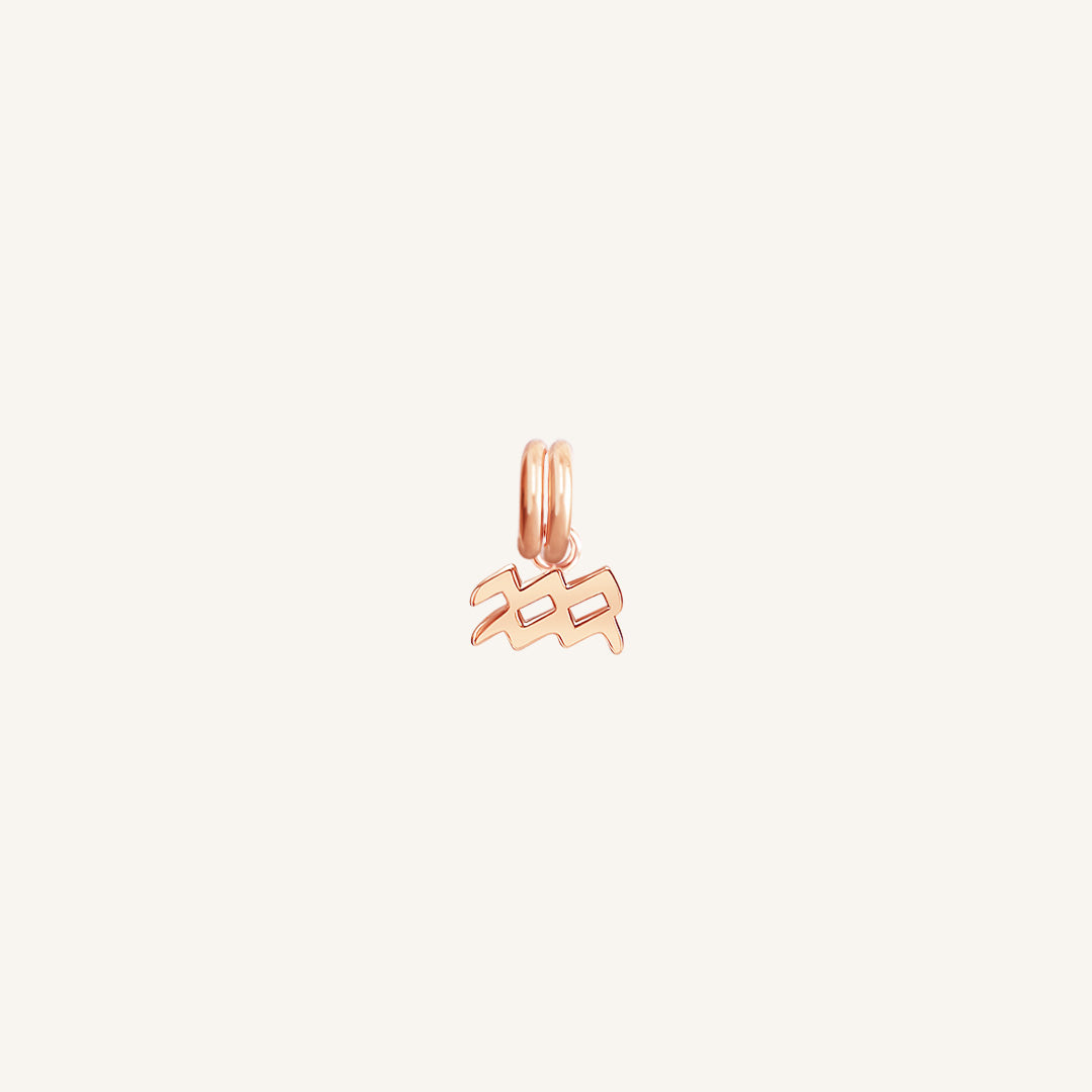 Petite Zodiac Charm Aquarius Necklace - Dainty & Elegant Jewelry for Women - Perfect for Birthdays, Gifts & Everyday Wear