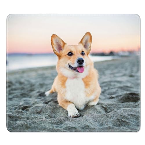 Cute Puppy