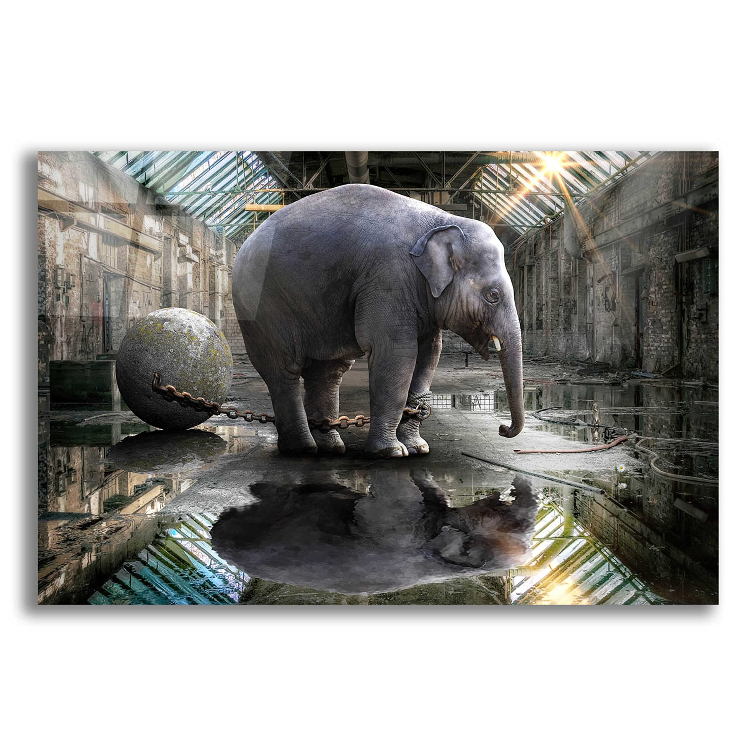 Alan's 'The Big Grey' Acrylic Glass Wall Art - 24