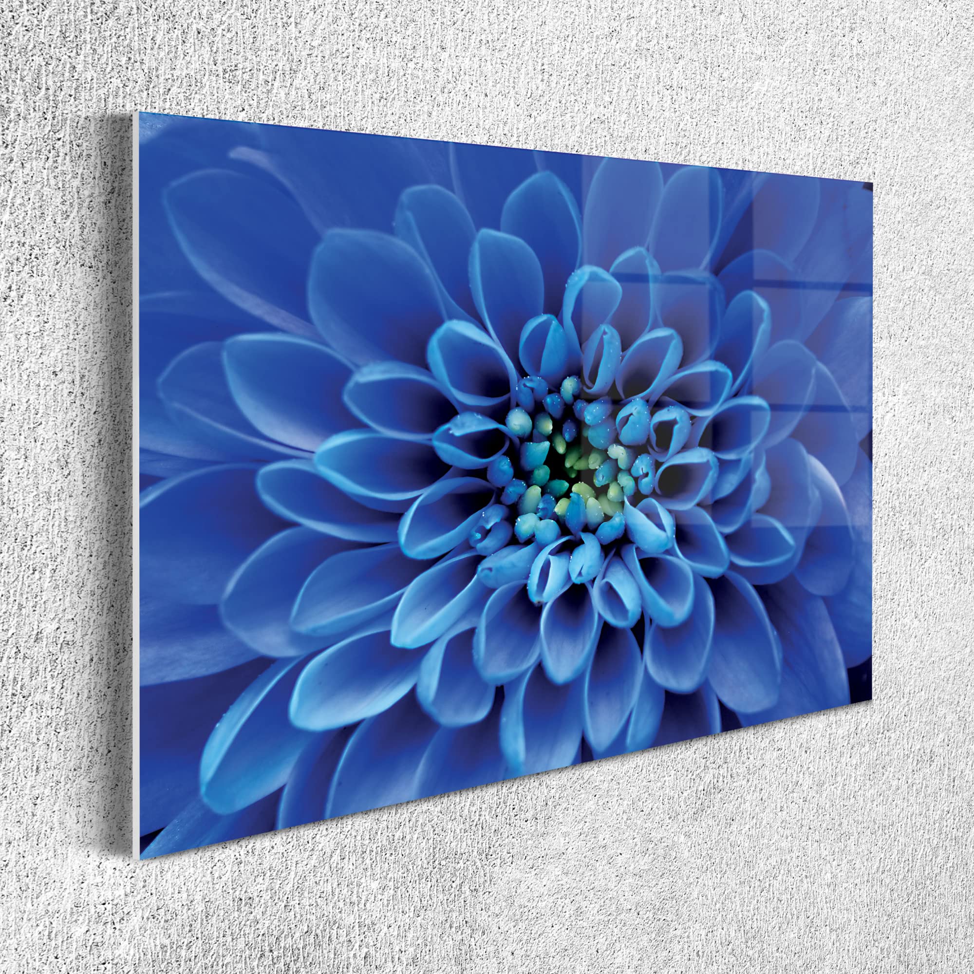 Ambesonne Floral Acrylic Glass Wall Art - Vibrant Aster Flower Close-Up in Aquatic Violet & Persian Blue | Botanical Print Home Decor for Living Room, Bedroom, Dorm | 26.3x19.6 Inch Modern Wall Hanging | Perfect for Boho, Farmhouse & Contemporary Interior Design Styles