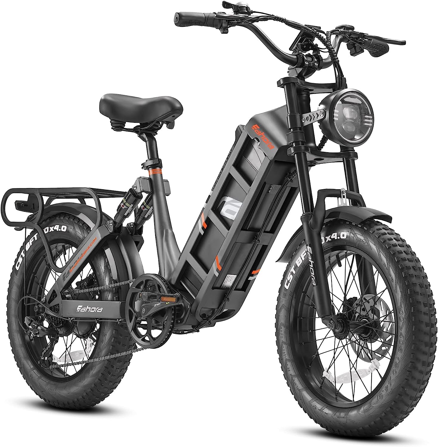 Juliet 1000W 60AH Electric Bike for Adults - 20