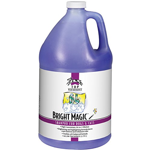 Bright Magic