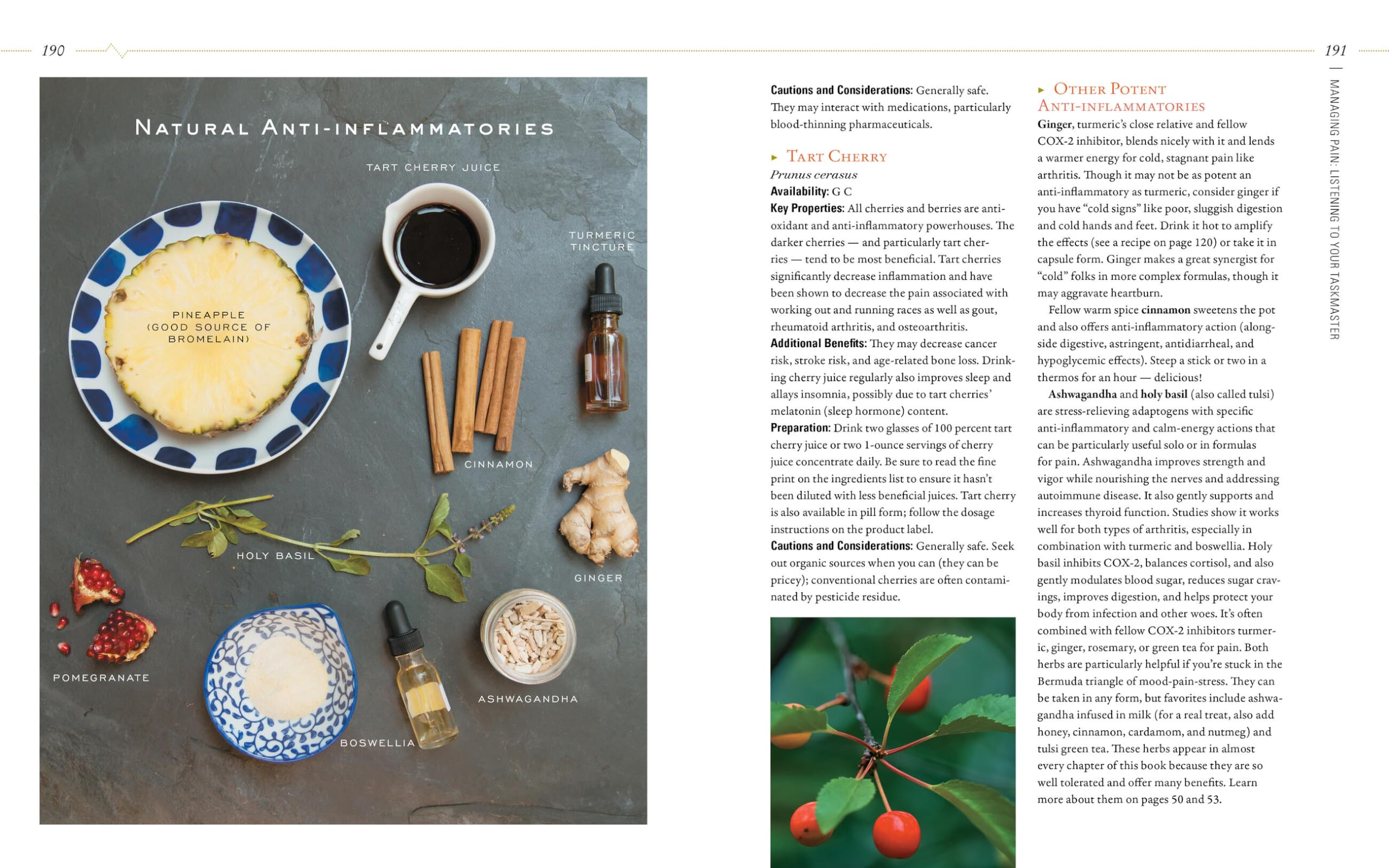 Body into Balance: Herbal Guide for Holistic Self-Care - Natural Remedies for Stress Relief, Better Sleep & Wellness at Home