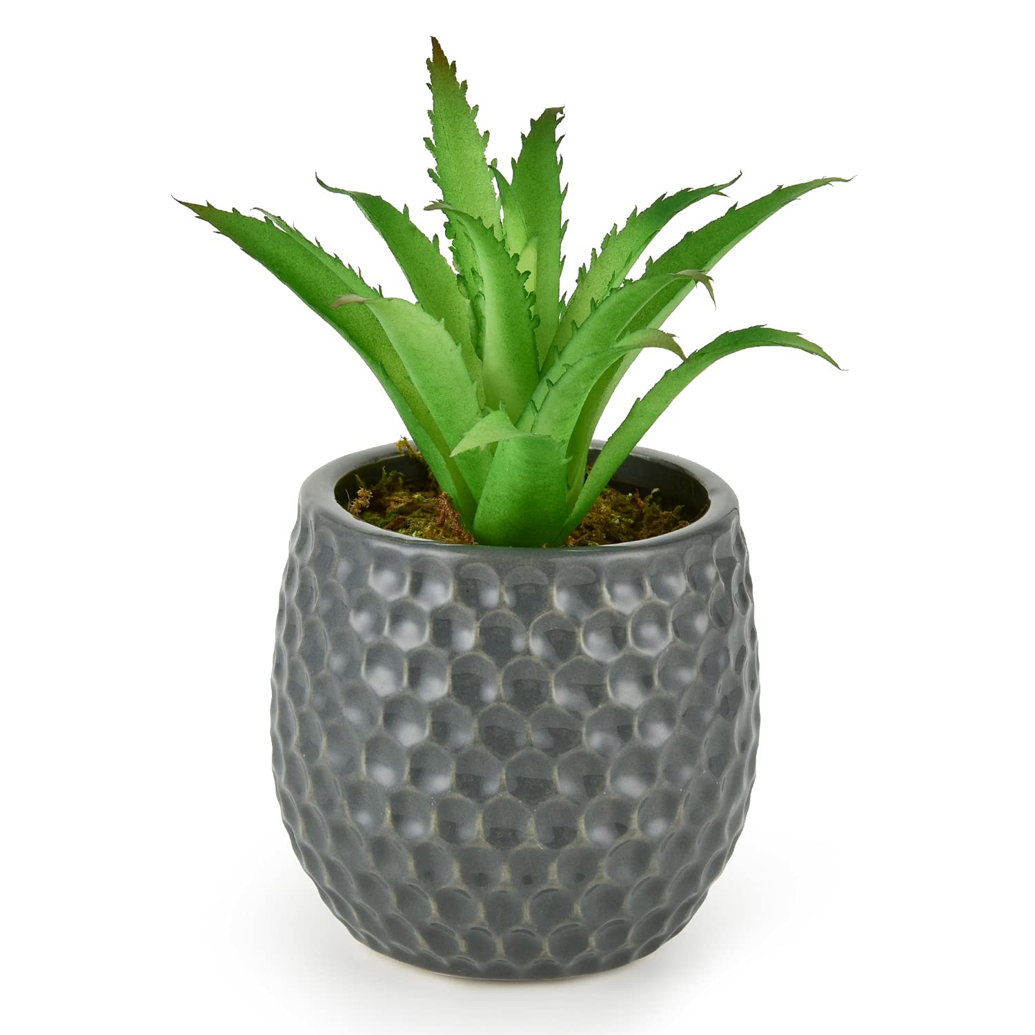 Lvydec Artificial Green Plant in Pot - Faux Succulent Plant with Ceramic Pot for Home, Office, Bathroom Decor - Perfect for Table, Shelf, Mantle & Indoor Spaces