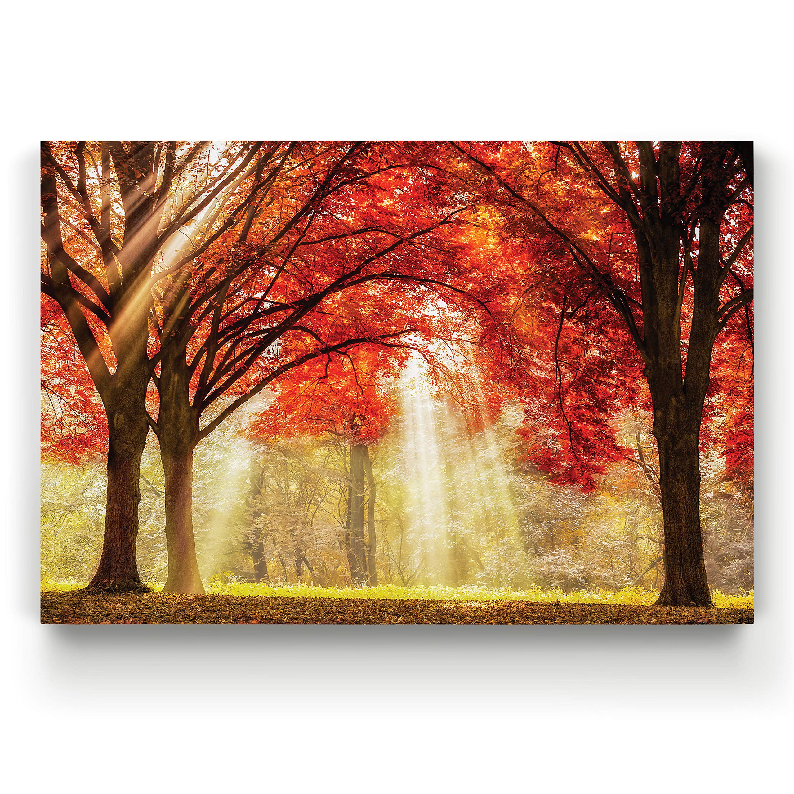 Everland Landscape Canvas Wall Art - 32x48 Inch Ready to Hang Photographic Print for Home & Office Decor | Nature Scenery Picture | Perfect for Living Room, Bedroom or Workspace