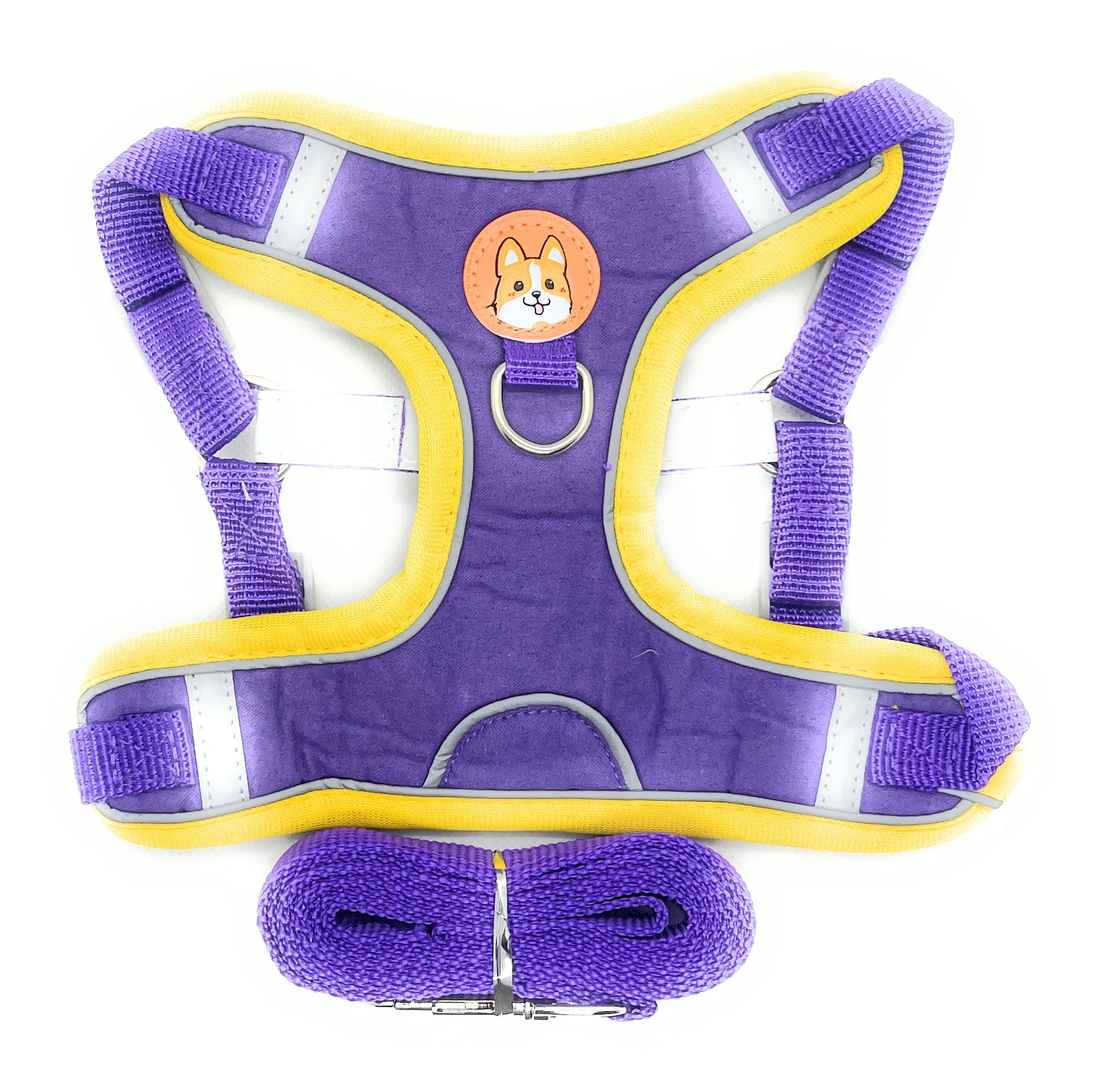 **Premium No-Pull Dog Harness & Leash Set for Small Dogs - Adjustable, Comfortable & Durable - Best Rated XS/Small Pet Harness (Fantastic Purple) - Perfect for Walking, Training & Outdoor Adventures**