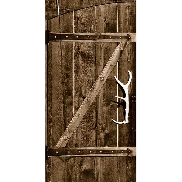 Barn Wood Door_01