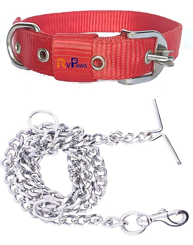 RvPaws Heavy Duty 1 Inch Nylon Dog Collar with 63 Inch Chain - Large Size Red Pet Accessories for Walking, Training & Outdoor Adventures