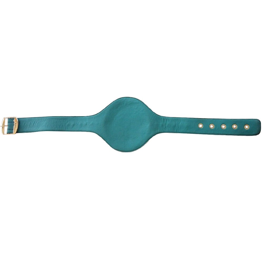 WBC Championship Boxing Belt 3D Replica - Authentic Adult Size Title Belt for Boxing Fans, Collectors & Cosplay | Perfect for Sports Memorabilia, Halloween Costumes & Boxing Events