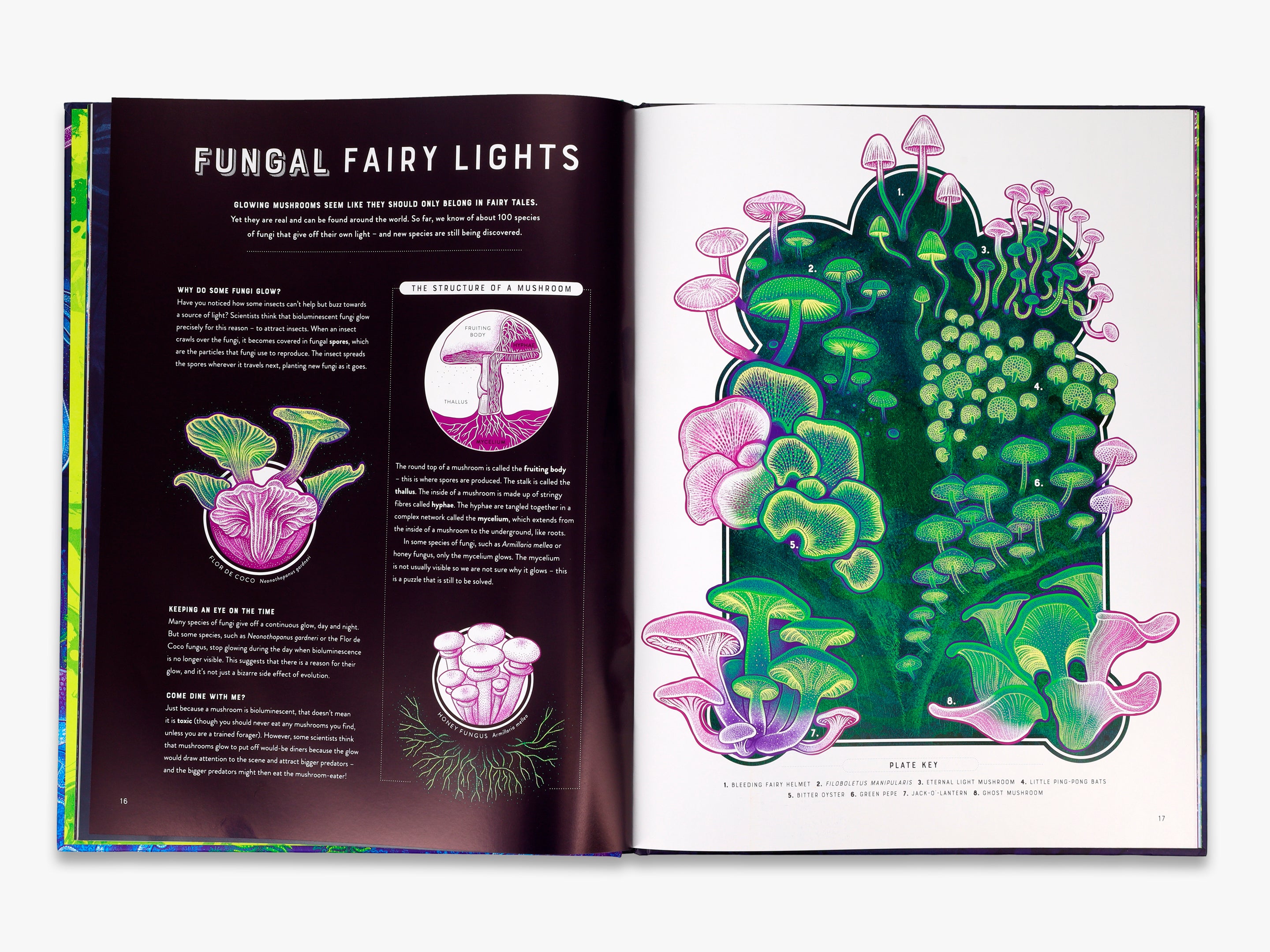 Glow (Wild Wonders) - Stunning Glow-in-the-Dark Decor for Kids' Rooms, Parties & Nighttime Adventures