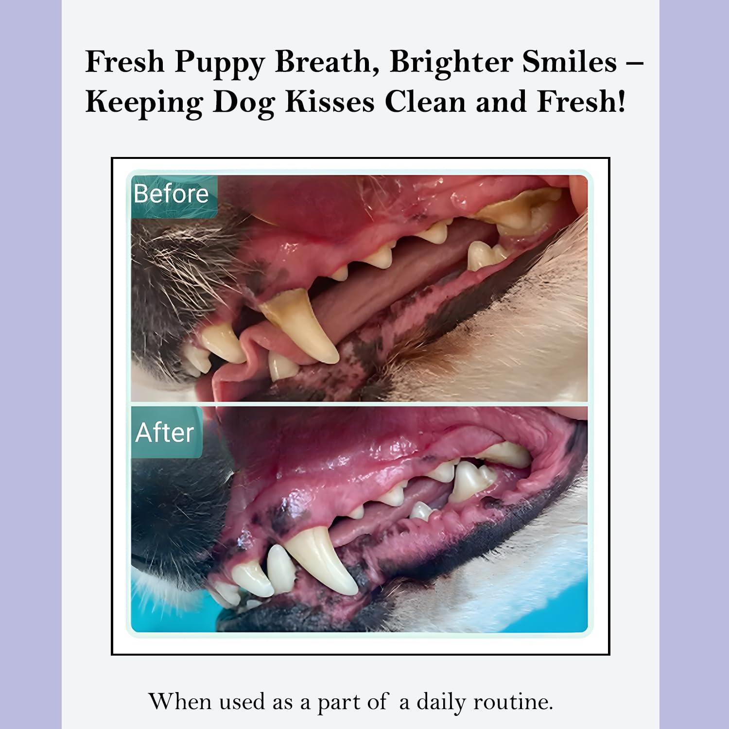 ROSEY'S PUPPY FRESH BREATH - Dog Dental Water Additive for Fresh Breath & Teeth Cleaning - Natural Dog Breath Freshener with Plaque Control & Gum Health Support - 8 Oz Bottle - Perfect for Daily Oral Care & Bad Breath Prevention in Dogs