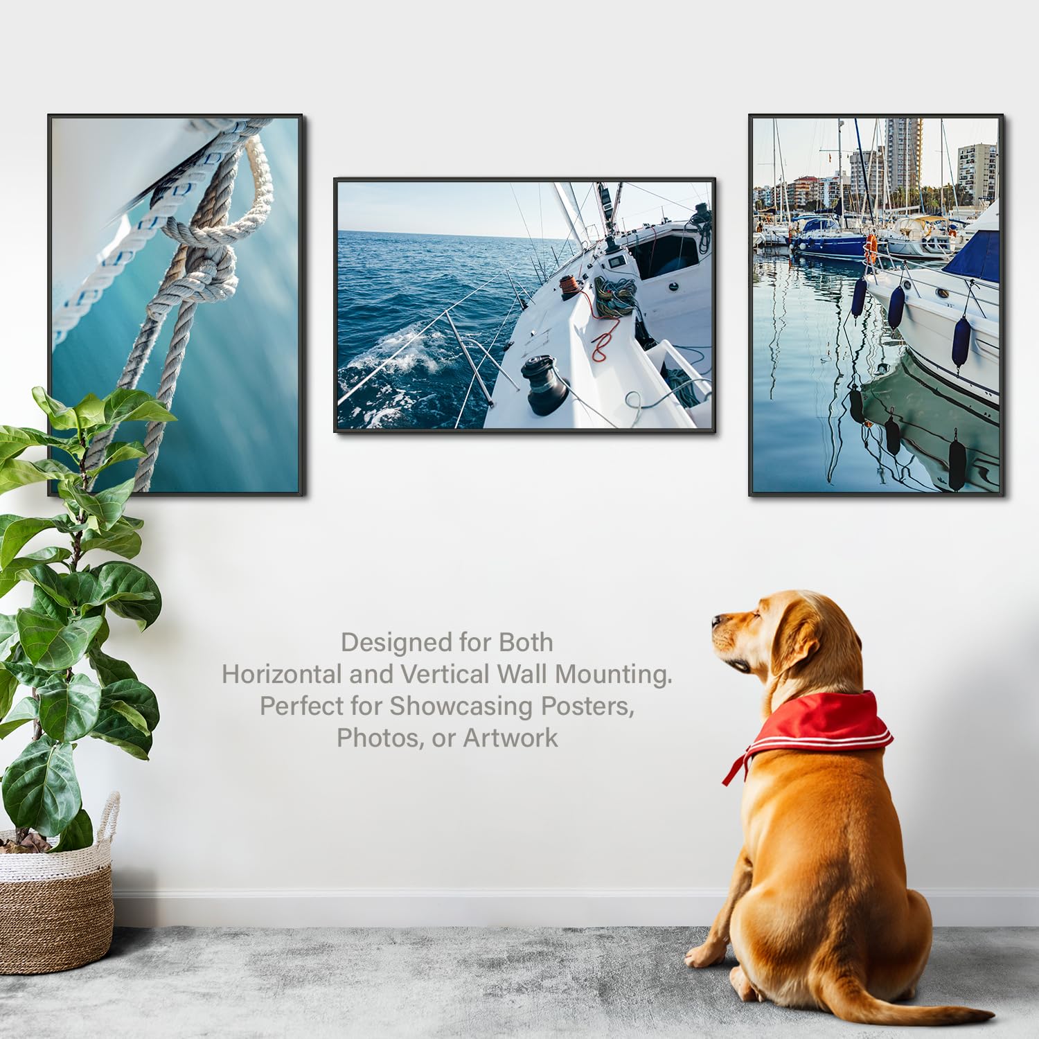 Plexon 24x36 Black Poster Frame - Large Wall Picture Frame for Photos, Artwork, and Gallery Displays - Perfect for Home, Office, and Classroom Decor