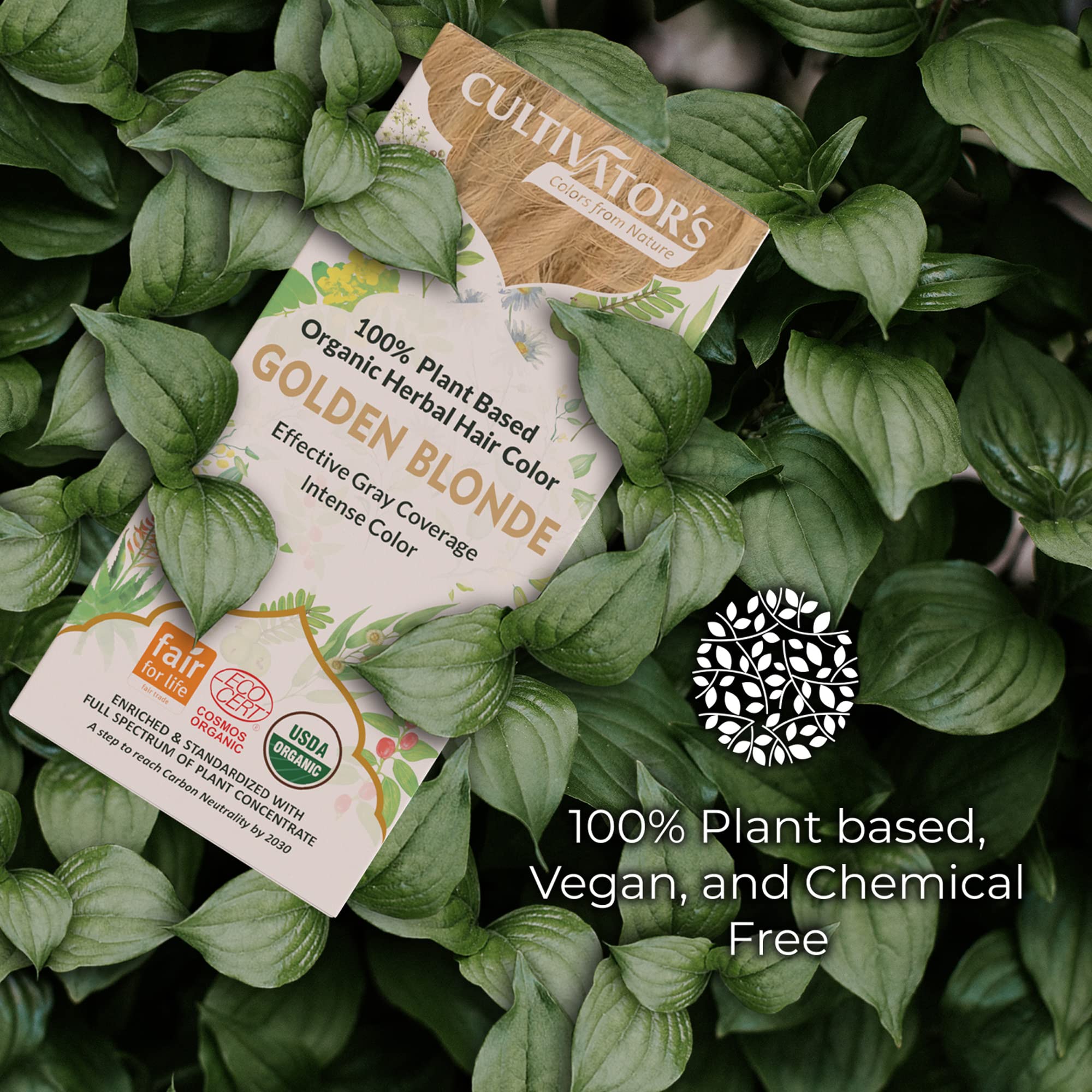 Organic Herbal Hair Dye Powder - 100g Golden Blonde, Natural & Chemical-Free Hair Color for Men & Women | Professional Unisex Hair & Beard Dye | Vegan, Cruelty-Free | Perfect for At-Home Salon Results & Touch-Ups