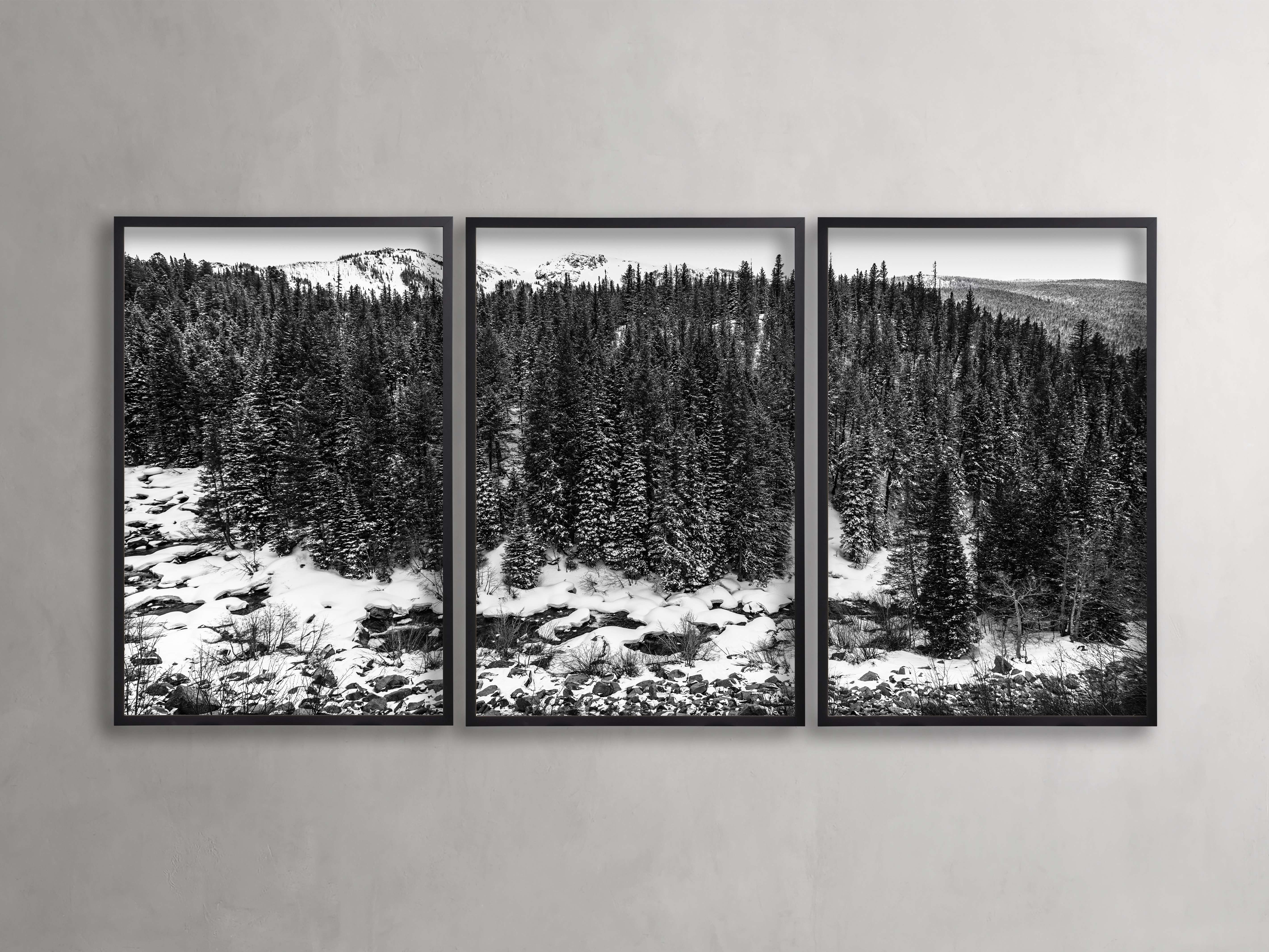 Aspen Allure III Framed Print Set of 3 - Modern Nature Wall Art for Living Room, Bedroom & Office Decor