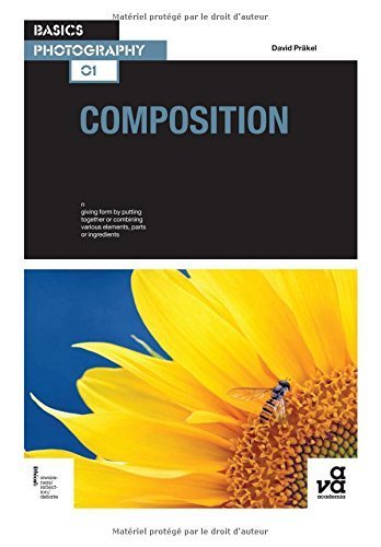 Basics Photography: Composition by David Prakel (2006) Paperback - Essential Guide for Beginners, Perfect for Learning Photography Techniques at Home or Studio