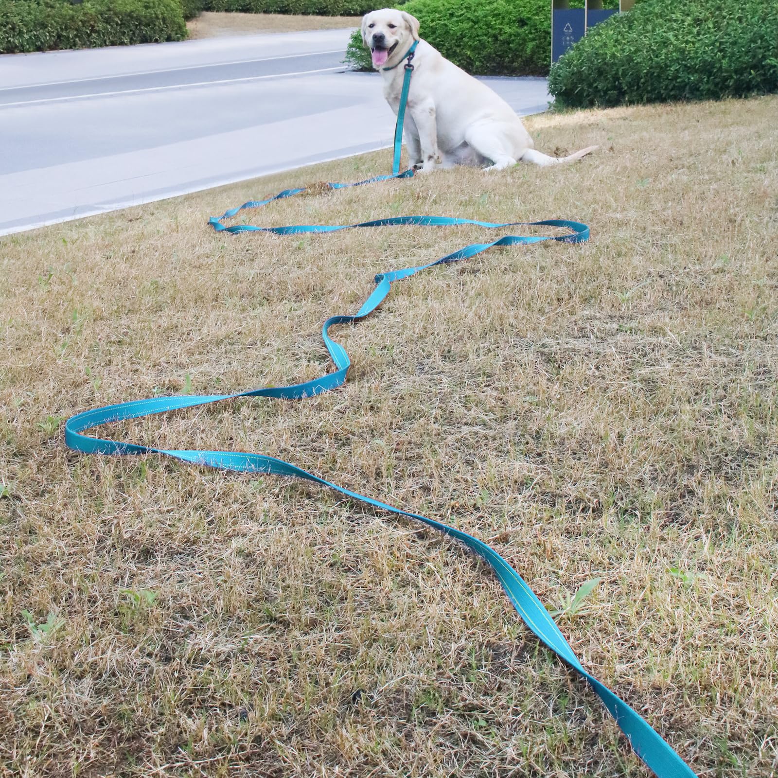 10FT Heavy Duty Reflective Dog Leash with 2 Soft Padded Handles - Durable Training & Walking Lead for Large, Medium & Small Dogs | Perfect for Night Walks, Jogging & Outdoor Adventures