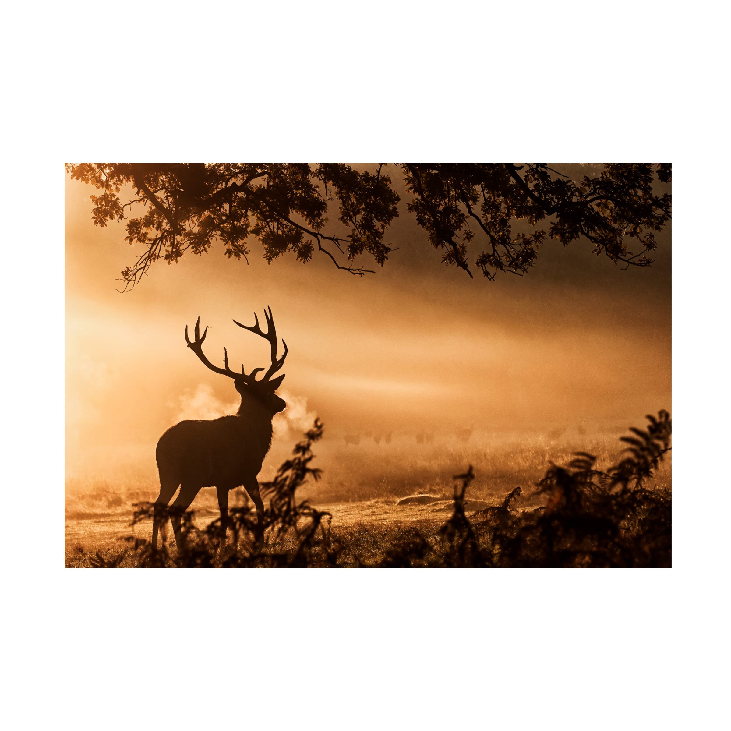 Trademark Fine Art 'Deer Cast Shadow' Canvas Wall Art by Radojica Jevric - Modern Nature Wildlife Painting for Living Room, Bedroom & Office Decor