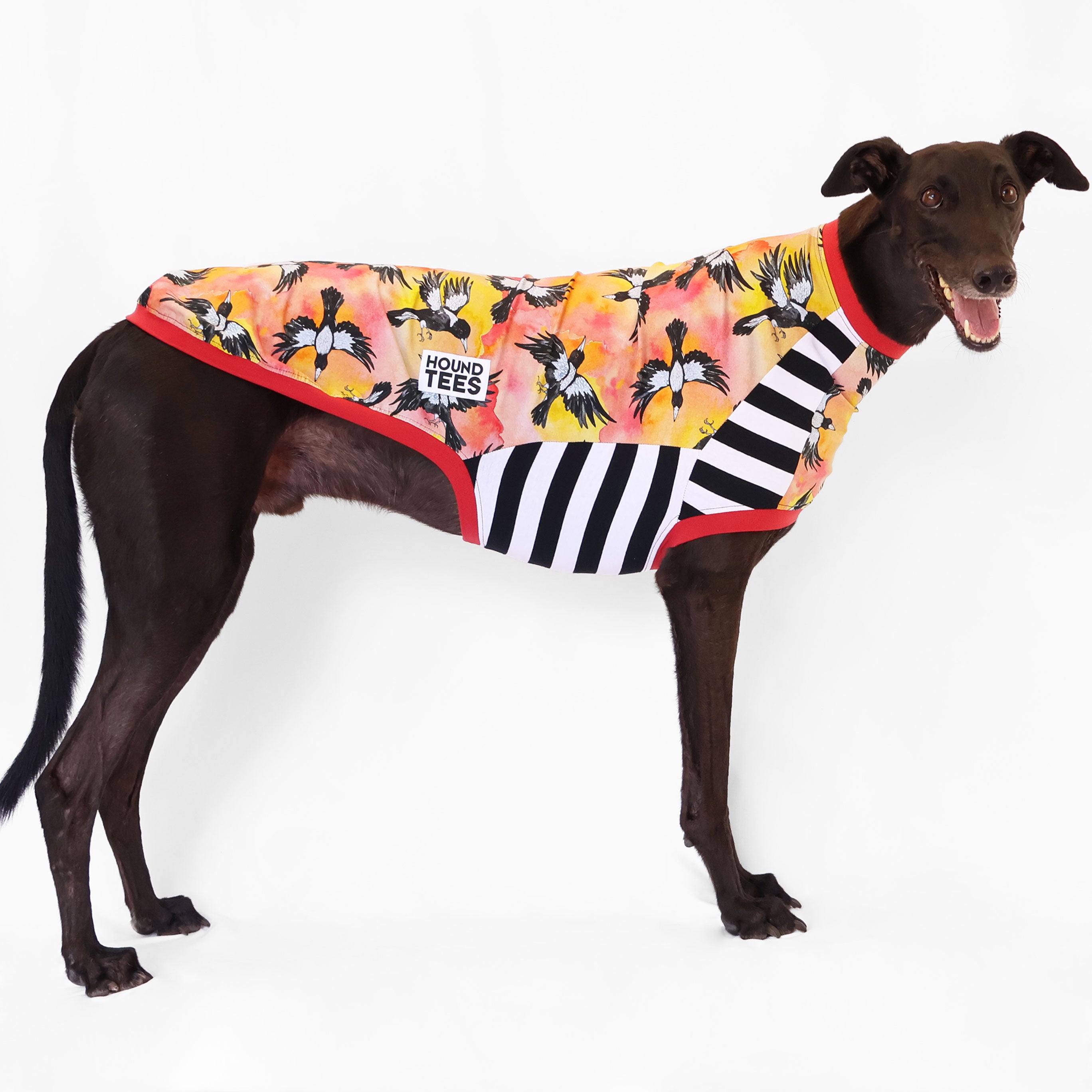 Greyhound Sleeveless T-Shirt for Dog Lovers - Comfortable Pet Lover Apparel for Casual Wear & Dog Park Outings