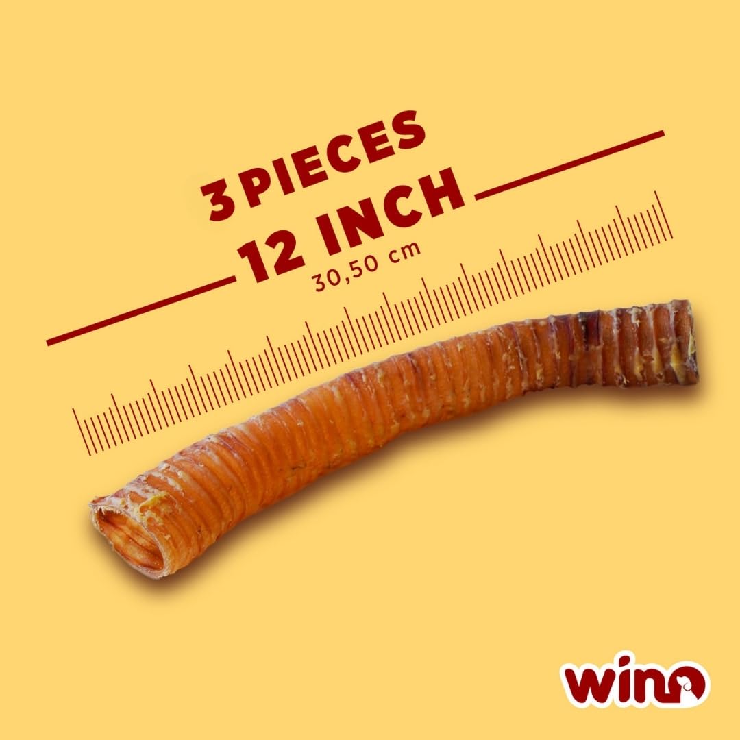 Premium Bully Sticks for Dogs - 5 Pack of 4 Inch All-Natural Beef Chews | 100% Digestible, Odor-Free, High Protein Dog Treats | Supports Dental Health & Reduces Destructive Chewing | Perfect for Training Rewards, Teething Puppies & Anxious Dogs