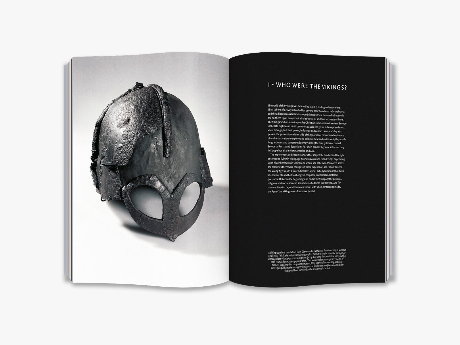Viking History & Culture Books - Explore Norse Mythology, Warriors & Sagas | Perfect for History Buffs & Viking Enthusiasts